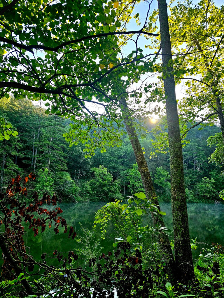 Thank you.  I will never be able to pay you back for what this has given me, but I will do all I can to try!      Jamie