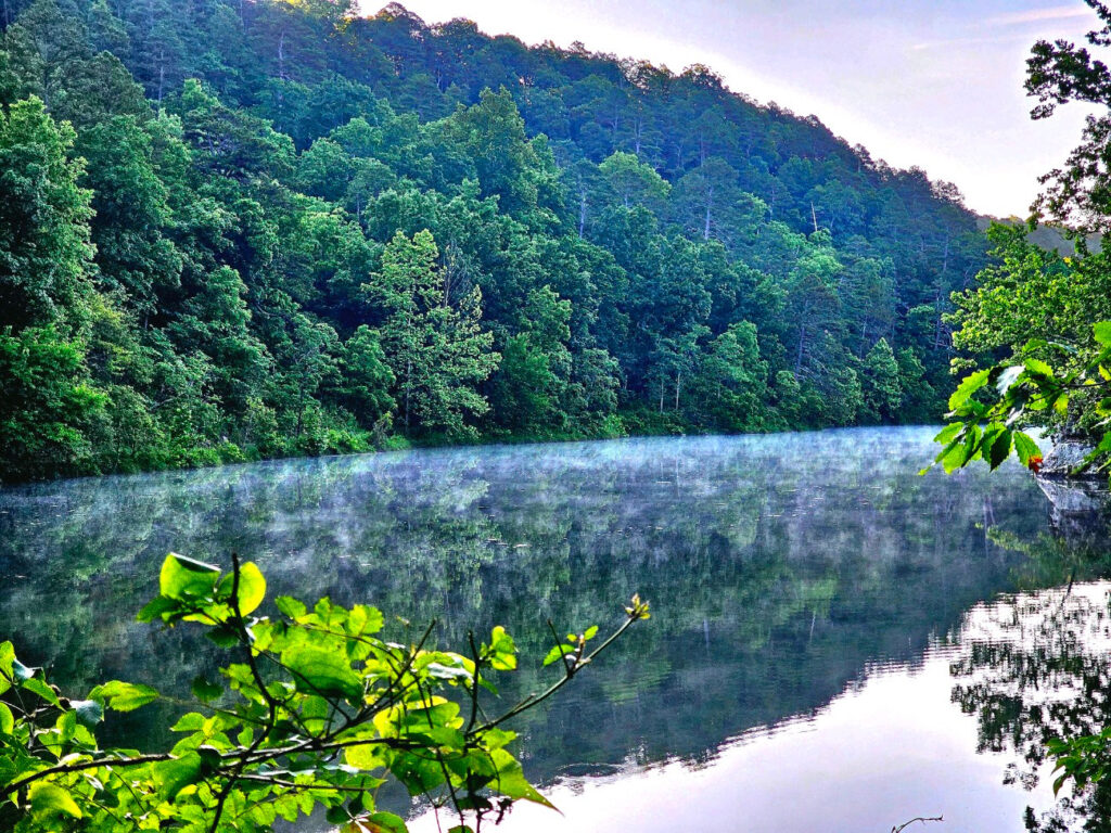 This is life changing.  I am so grateful and so impressed that you did this. It's amazing.       Jamie